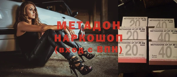 прущие грибы Наволоки