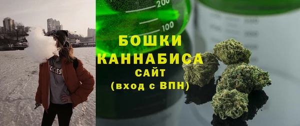 прущие грибы Наволоки