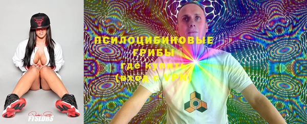 мдпв Навашино