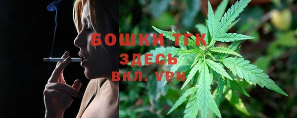 прущие грибы Наволоки