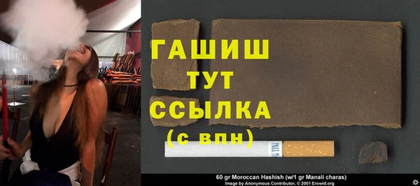 гидра Надым