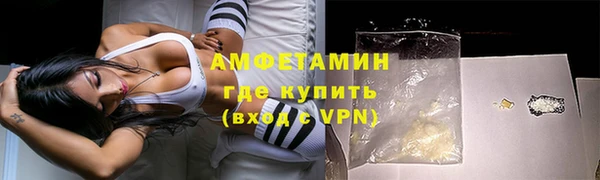 прущие грибы Наволоки