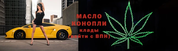 гидра Надым