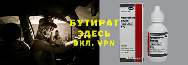 гидра Надым