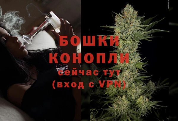 прущие грибы Наволоки