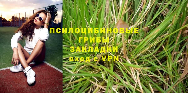 прущие грибы Наволоки