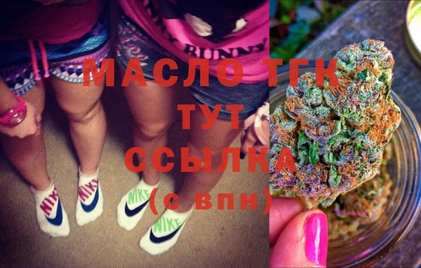 гидра Надым