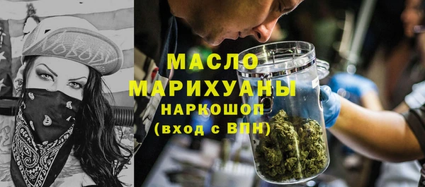 гидра Надым