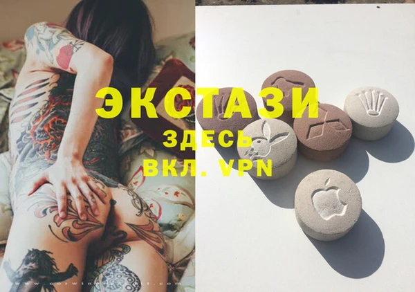 гидра Надым