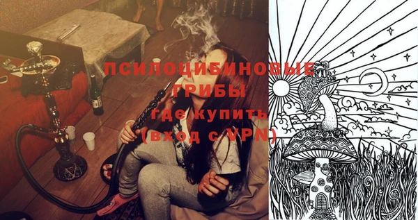 прущие грибы Наволоки