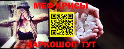 стаф Заводоуковск