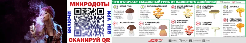 Псилоцибиновые грибы GOLDEN TEACHER  кракен ТОР  Лосино-Петровский 