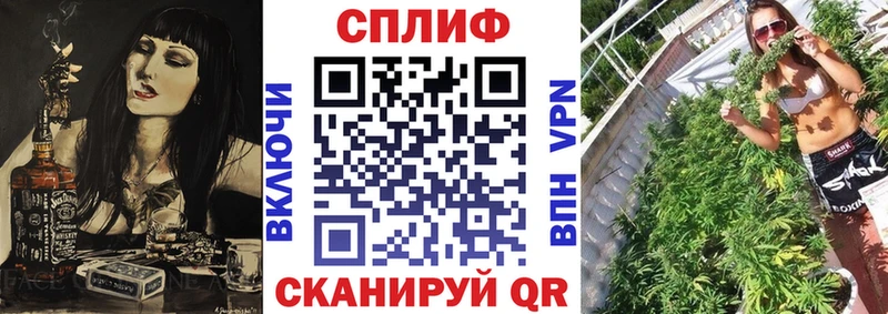 Конопля THC 21%  цена наркотик  Лосино-Петровский 